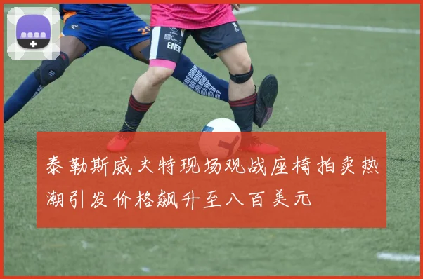 泰勒斯威夫特现场观战座椅拍卖热潮引发价格飙升至八百美元