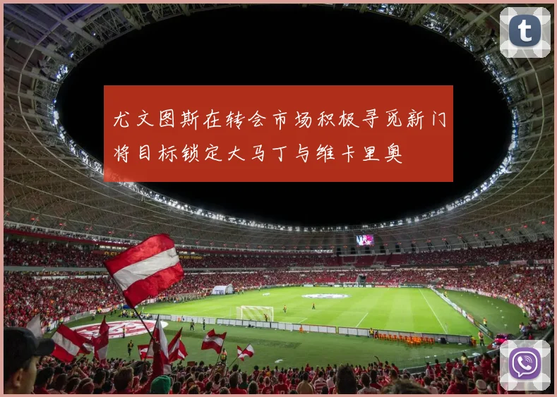 尤文图斯在转会市场积极寻觅新门将目标锁定大马丁与维卡里奥
